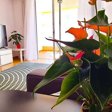 Apartamento Radazul Sea View ภายนอก รูปภาพ